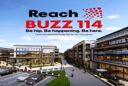 Reach Buzz 114