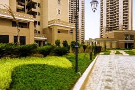 3 bhk flat for rent in ATS Kocoon